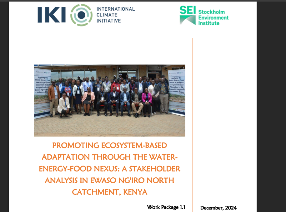PROMOTING ECOSYSTEM-BASED ADAPTATION THROUGH THE WATER-ENERGY-FOOD NEXUS: A STAKEHOLDER ANALYSIS IN EWASO NG'IRO NORTH CATCHMENT, KENYA